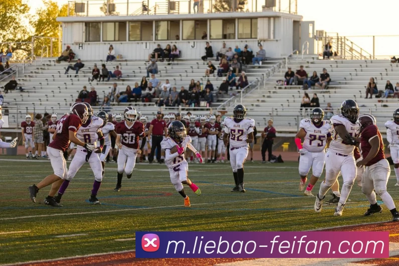 非凡娱乐平台生态图