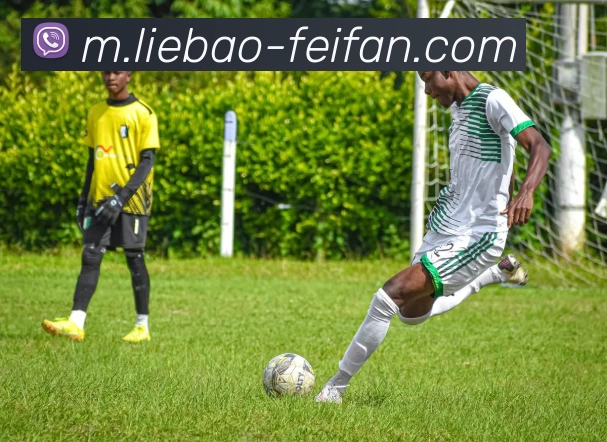 非凡娱乐APP 封面图